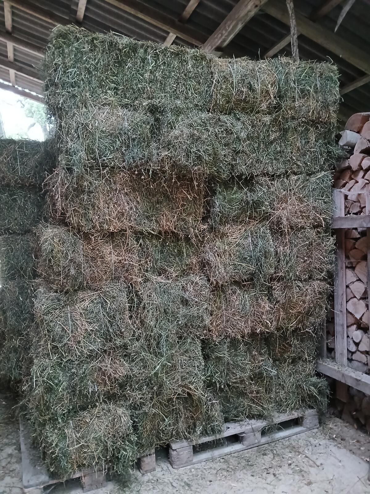 Bio-Heuballen, Kleinballen, feines Wiesenheu, 1. und 2. Schnitt 3