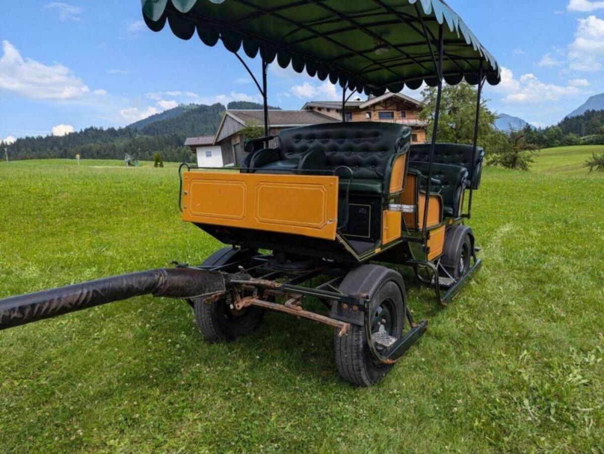 Kutsche für 10 Personen + Kutscher 2