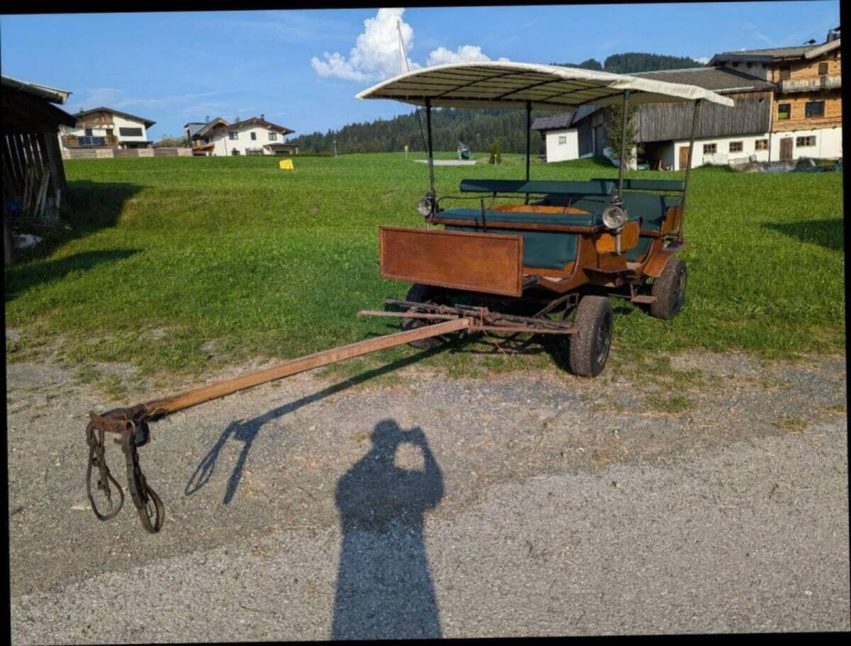 Leichte Kutsche für 10 Personen 2