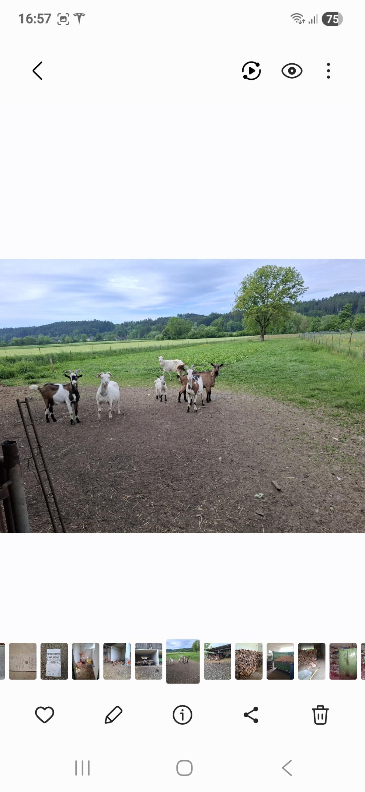 Haus Hof mit Landwirtschaft 3