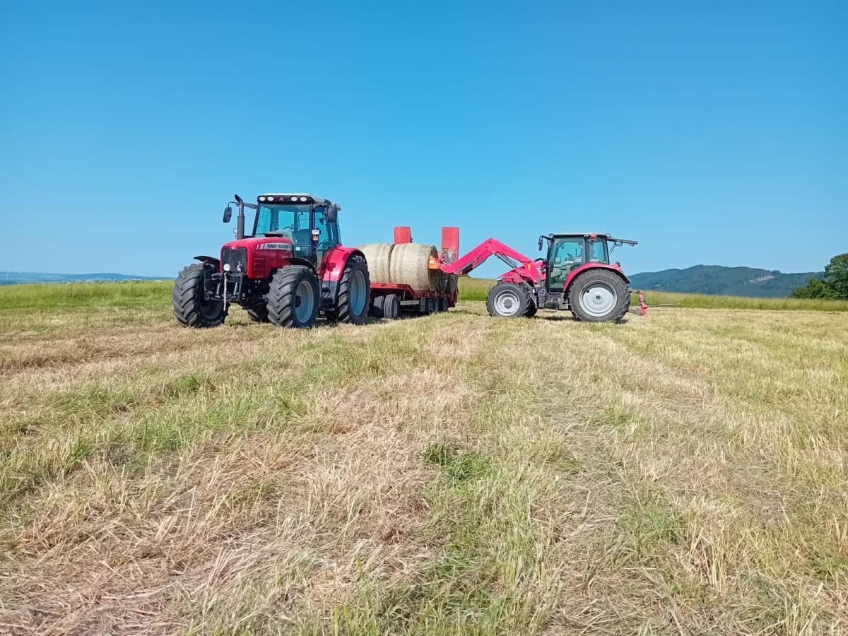 Stroh, Heu und Luzerne 2026 auf Vorbestellung 3