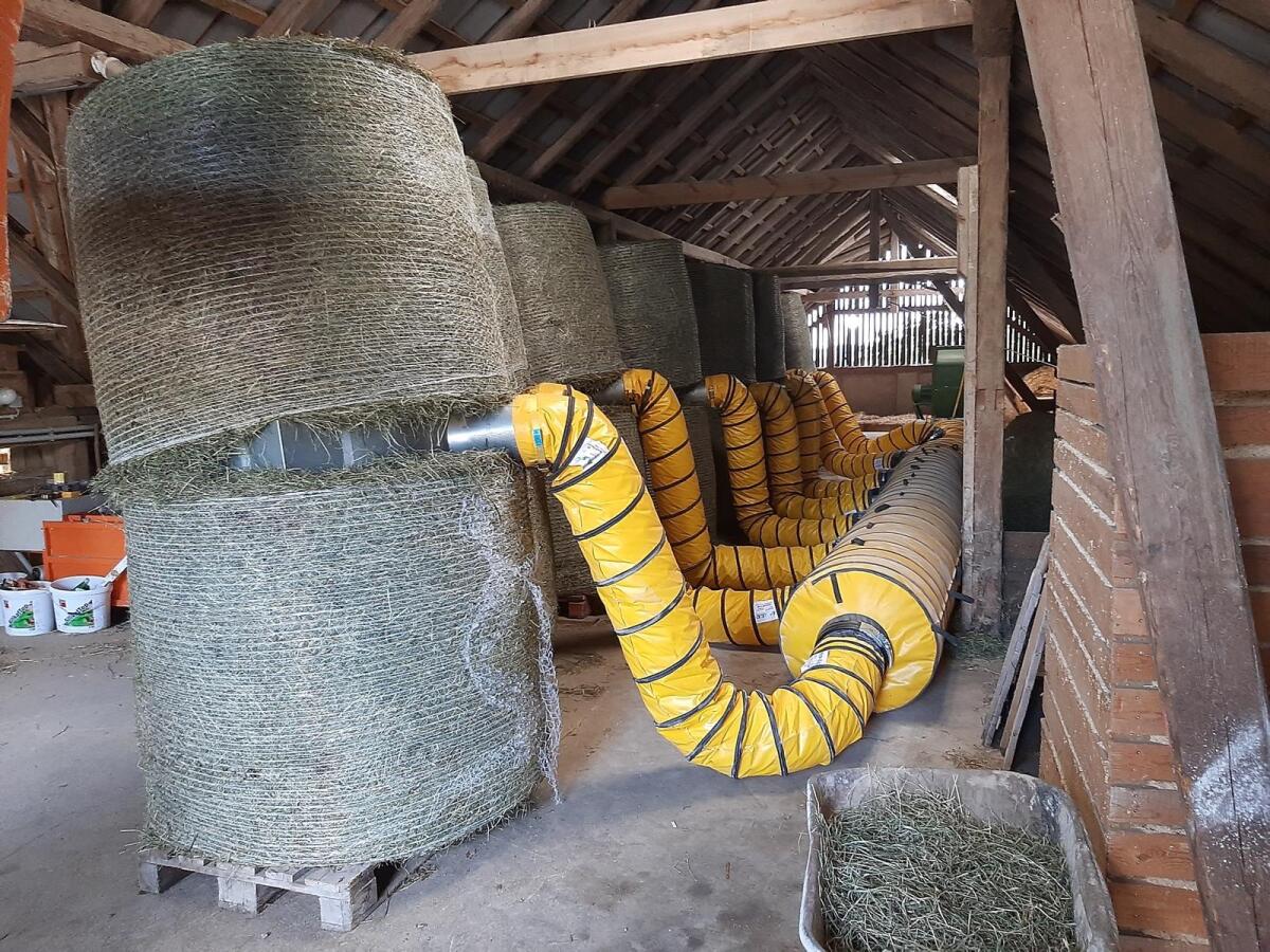 Lasko Heubelüftung 2