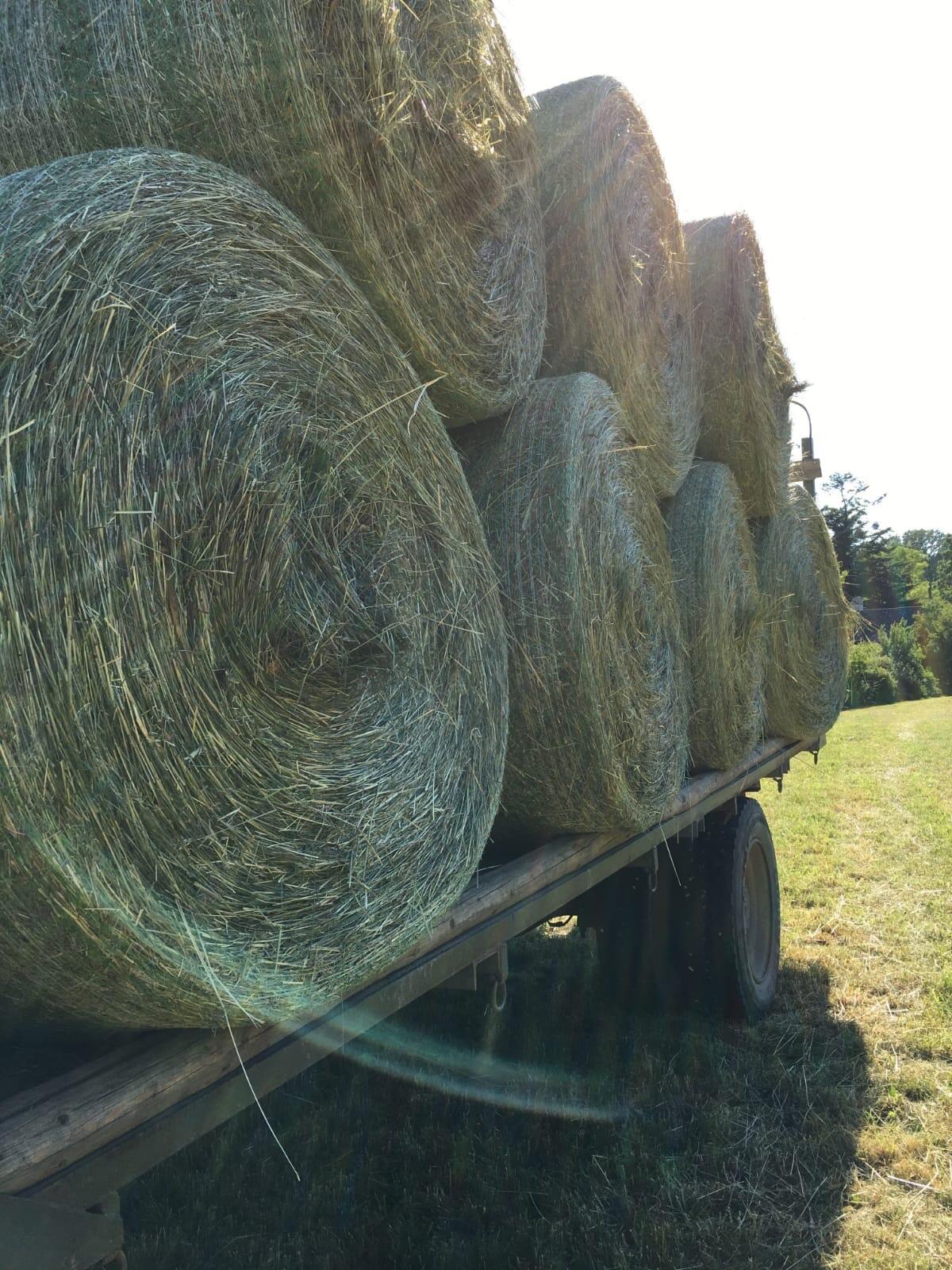 Heu-Rundballen, 1,40 m Dm. 2