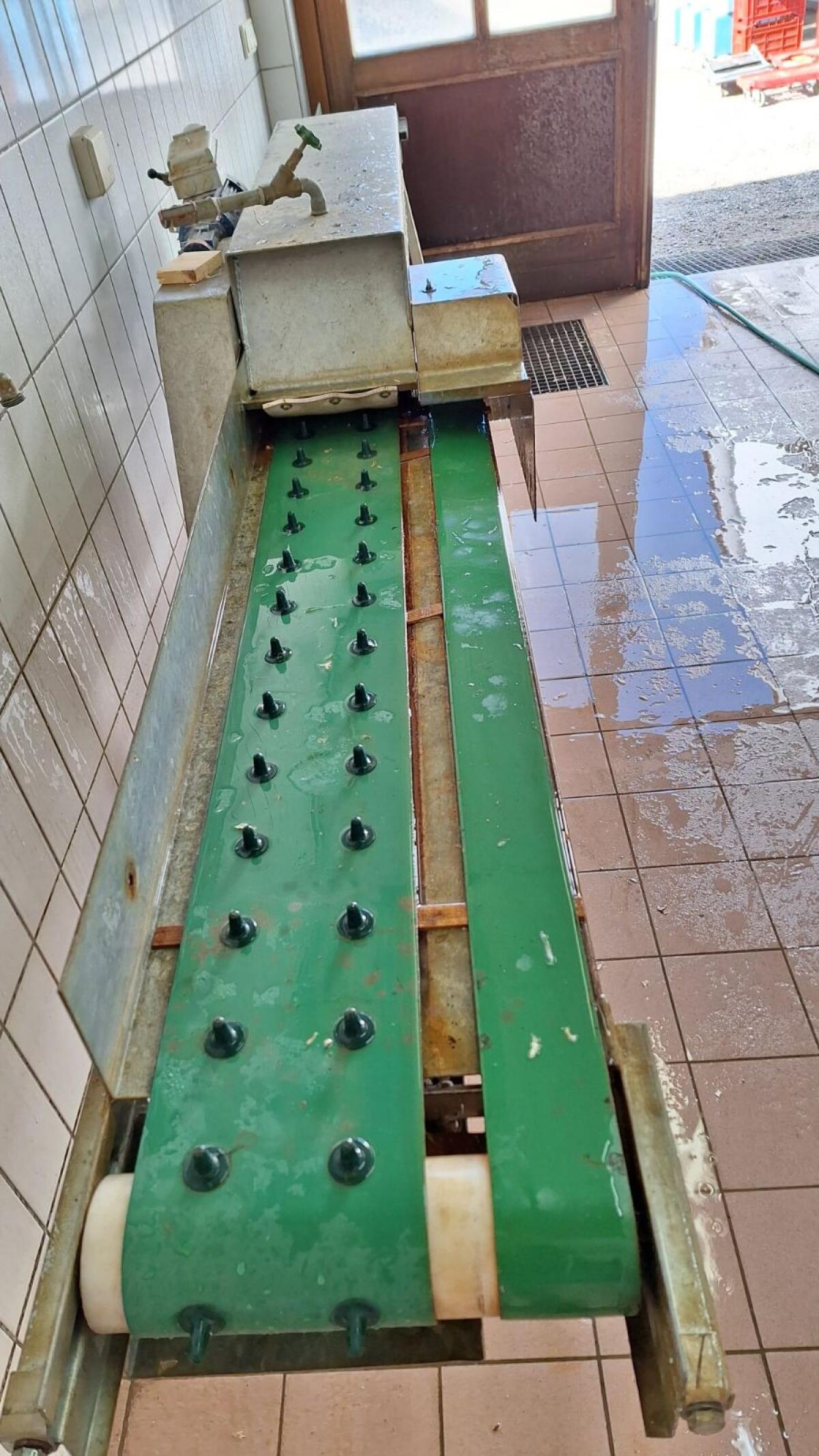 Spargel Wasch & Sortiermaschine Lutz 2