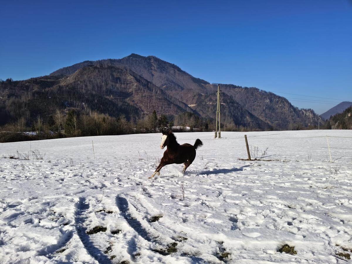 Ausdrucksstark und unerschrocken 3