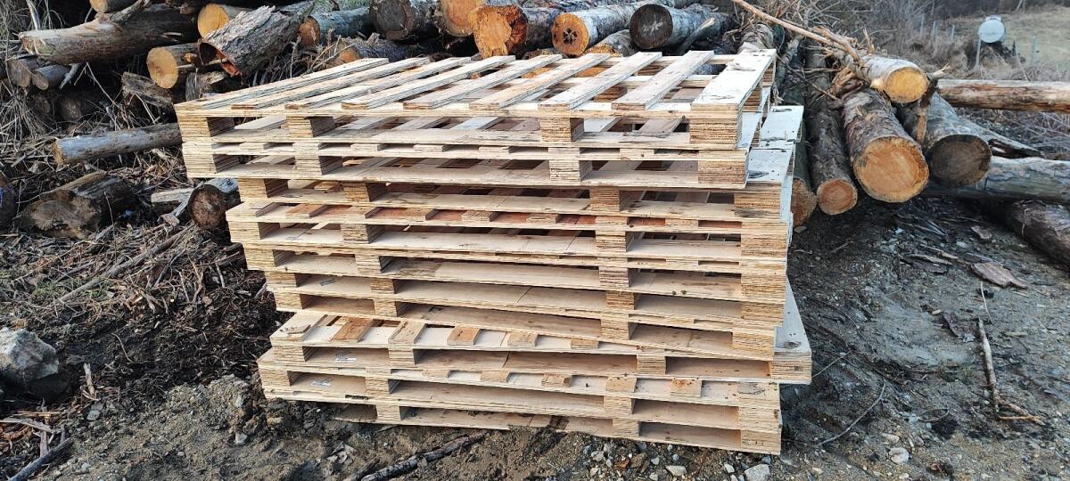 Palletten 180 cm lang 2