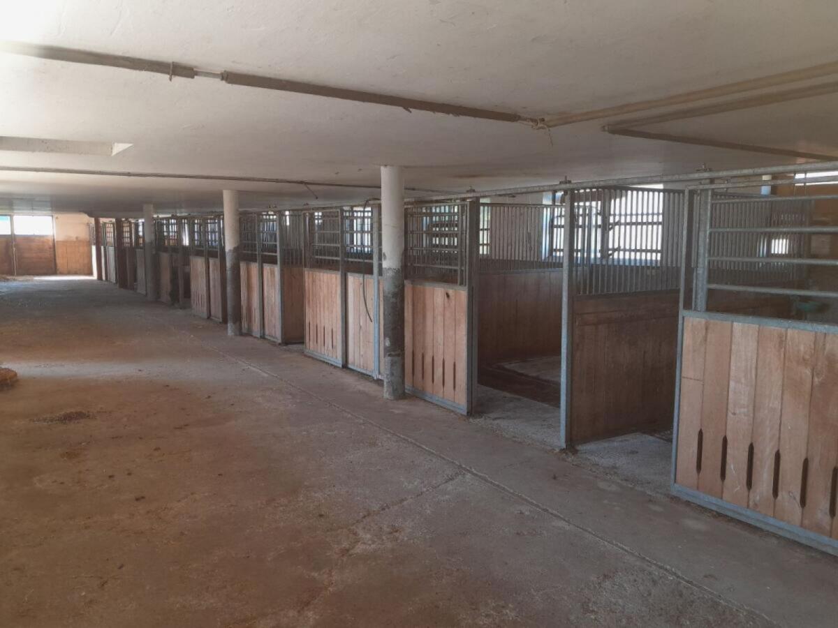 Pferdestall, Aufstallung, Pferdeboxen 2