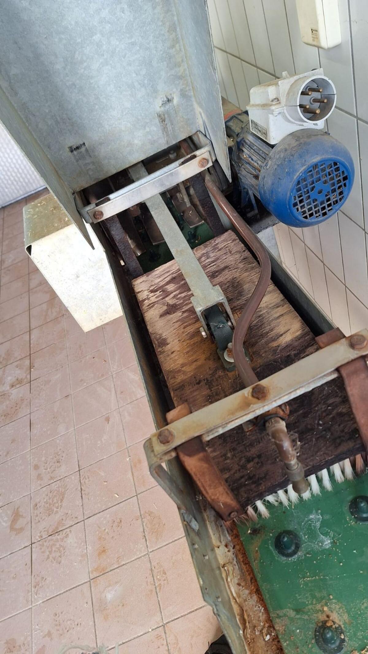 Spargel Wasch & Sortiermaschine Lutz 3