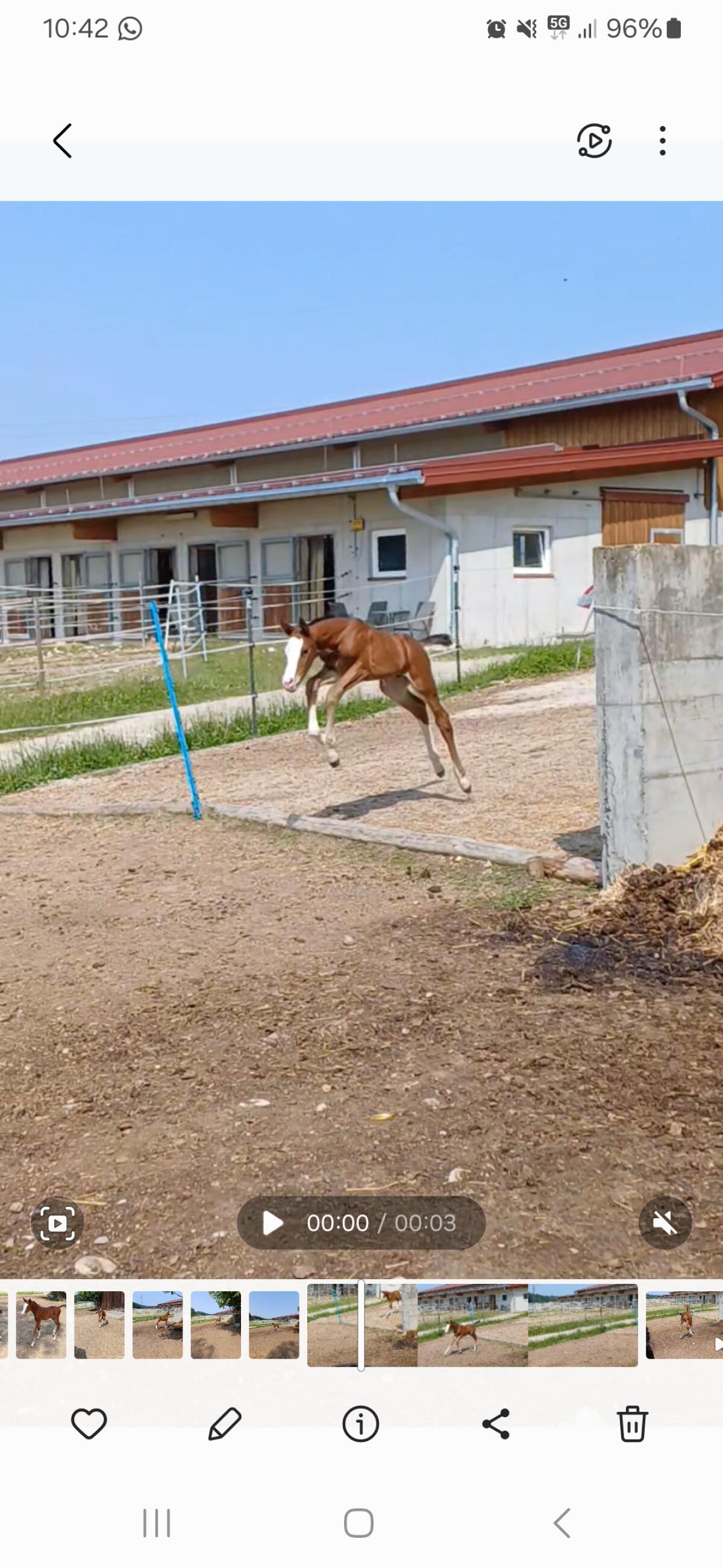 Ausdrucksstark und unerschrocken 2