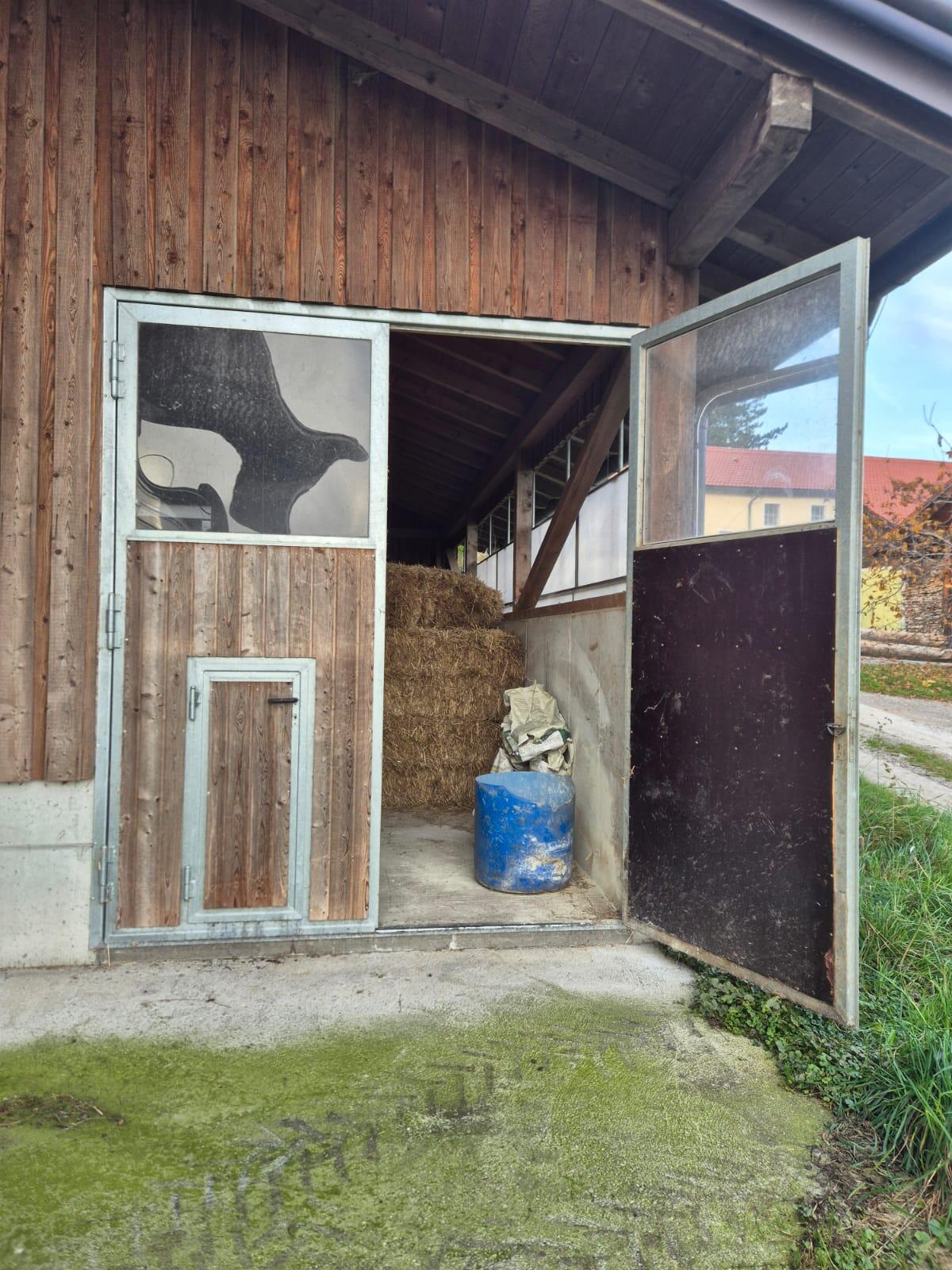 Stalltor mit Kälbertürl 2