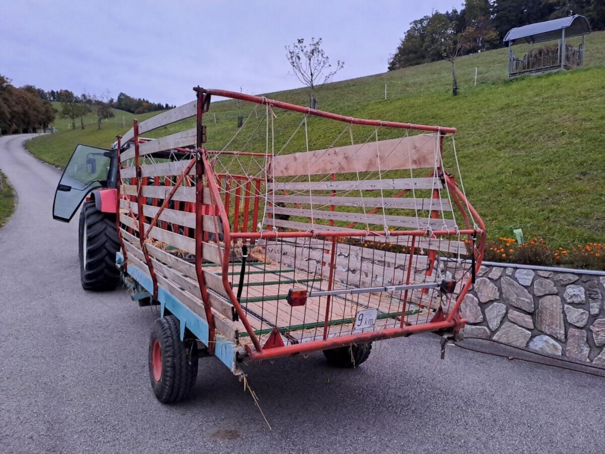Ladewagen Steyr Hamster 17 2