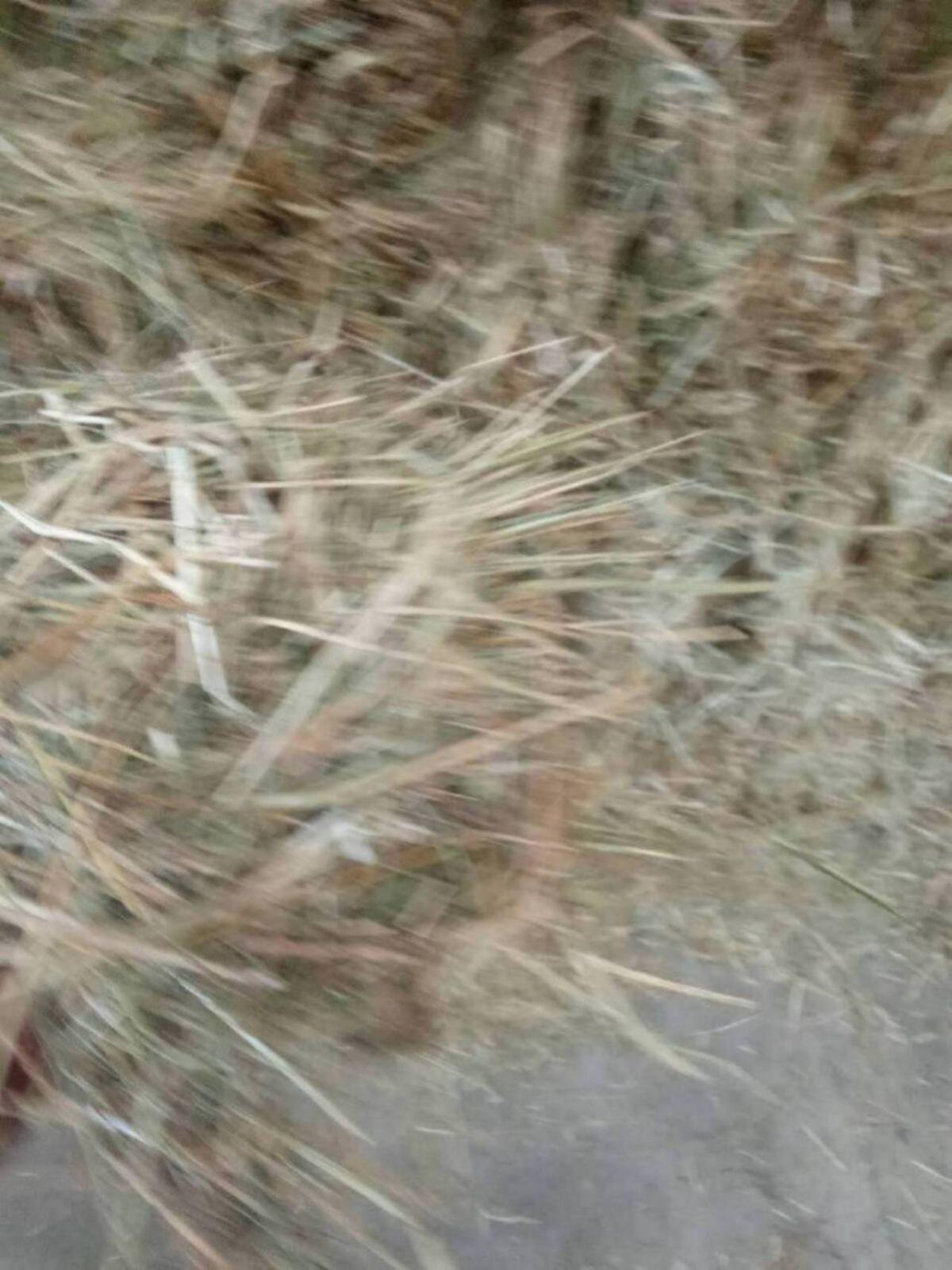 Verkauf Heu Ernte 2025 2