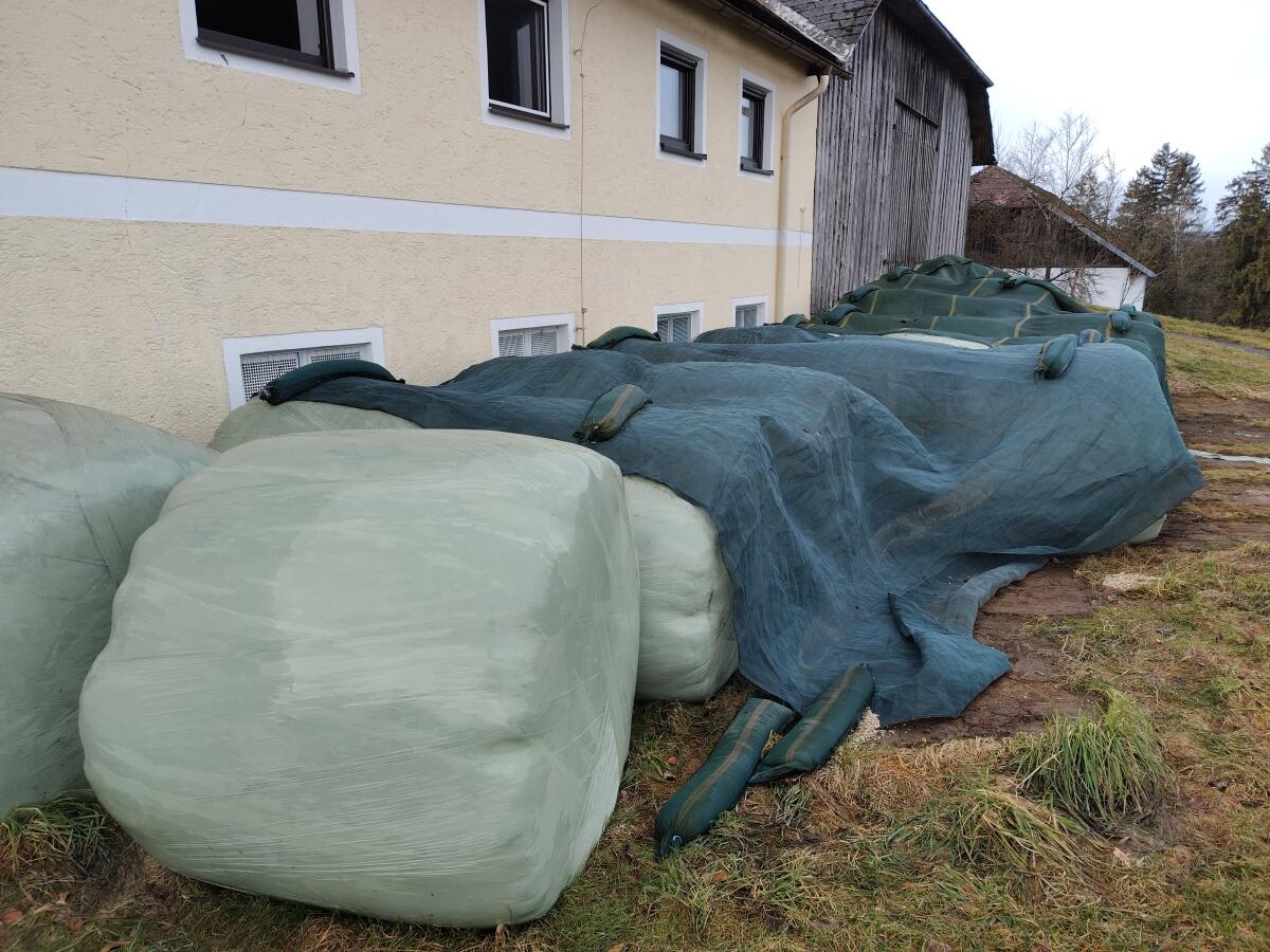 Silageballen Ernte 2025 2