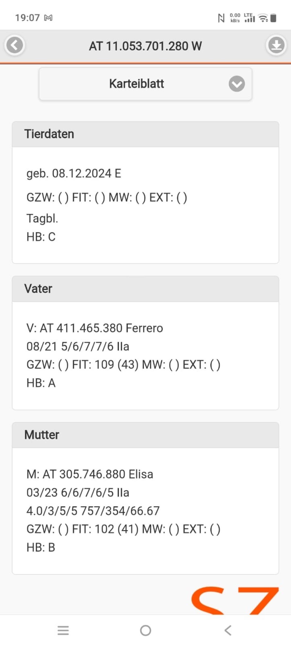 Verkaufe HB fähige Tauernscheckenziege 2