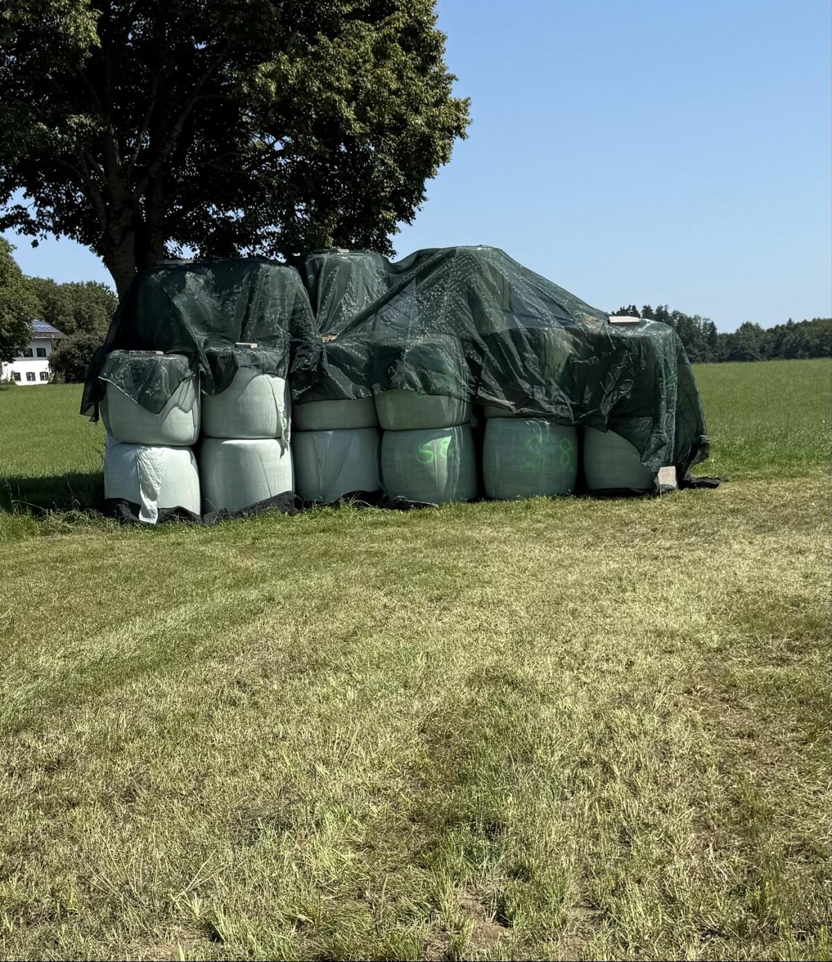 Silageballen, Kleesilage 3