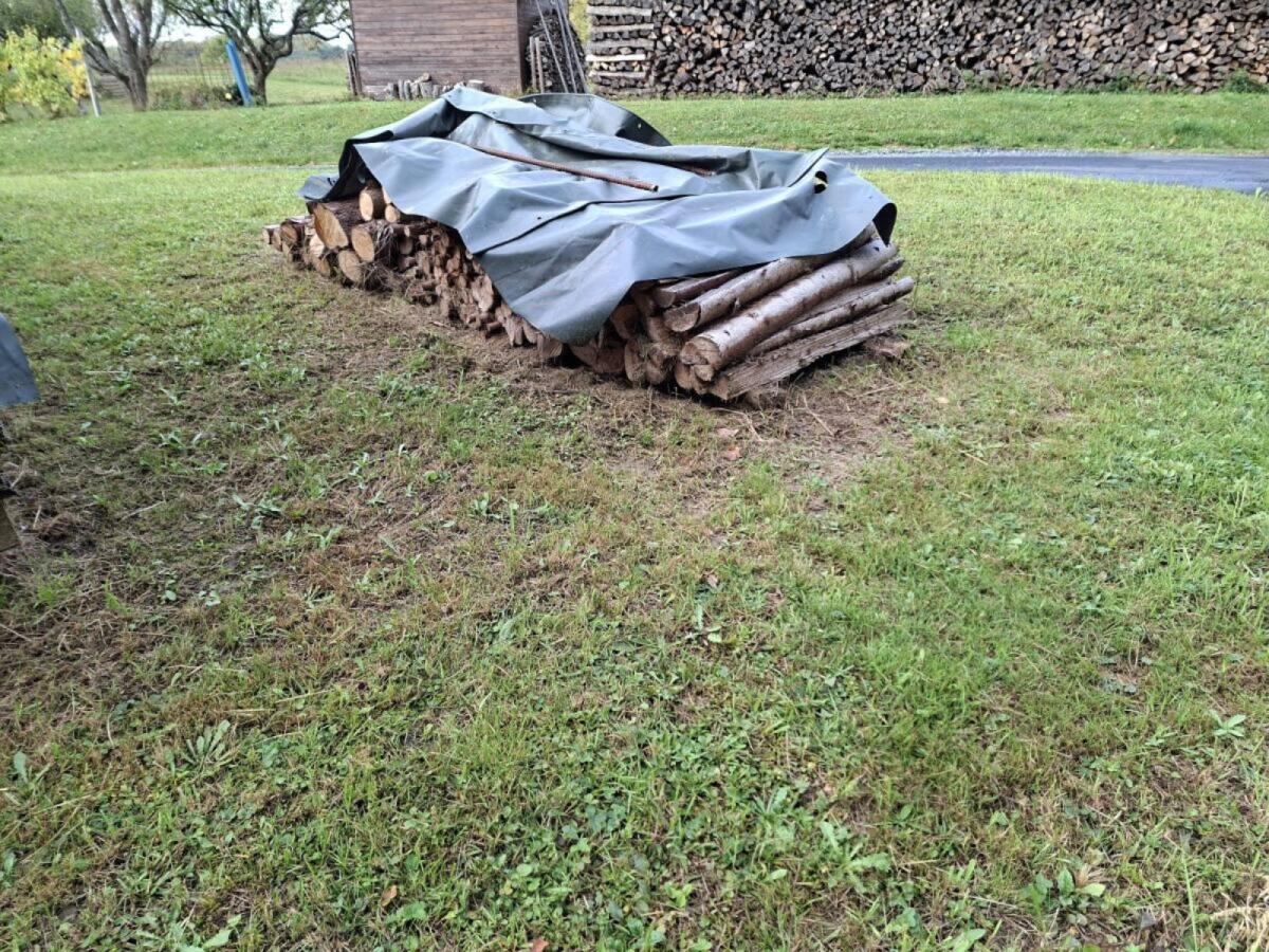 Brennholz, 20 m, Holz 3