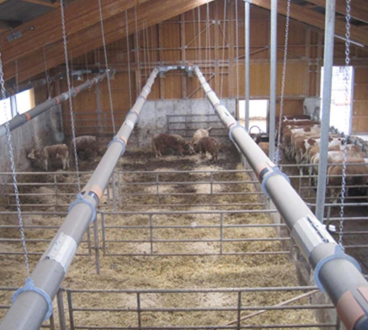 Rindermastaufstallung, Strohmatic 3