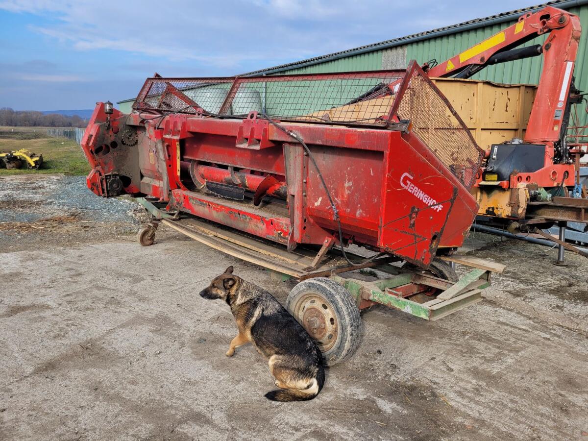 Geringhoff Maispflücker 5Reihig 2