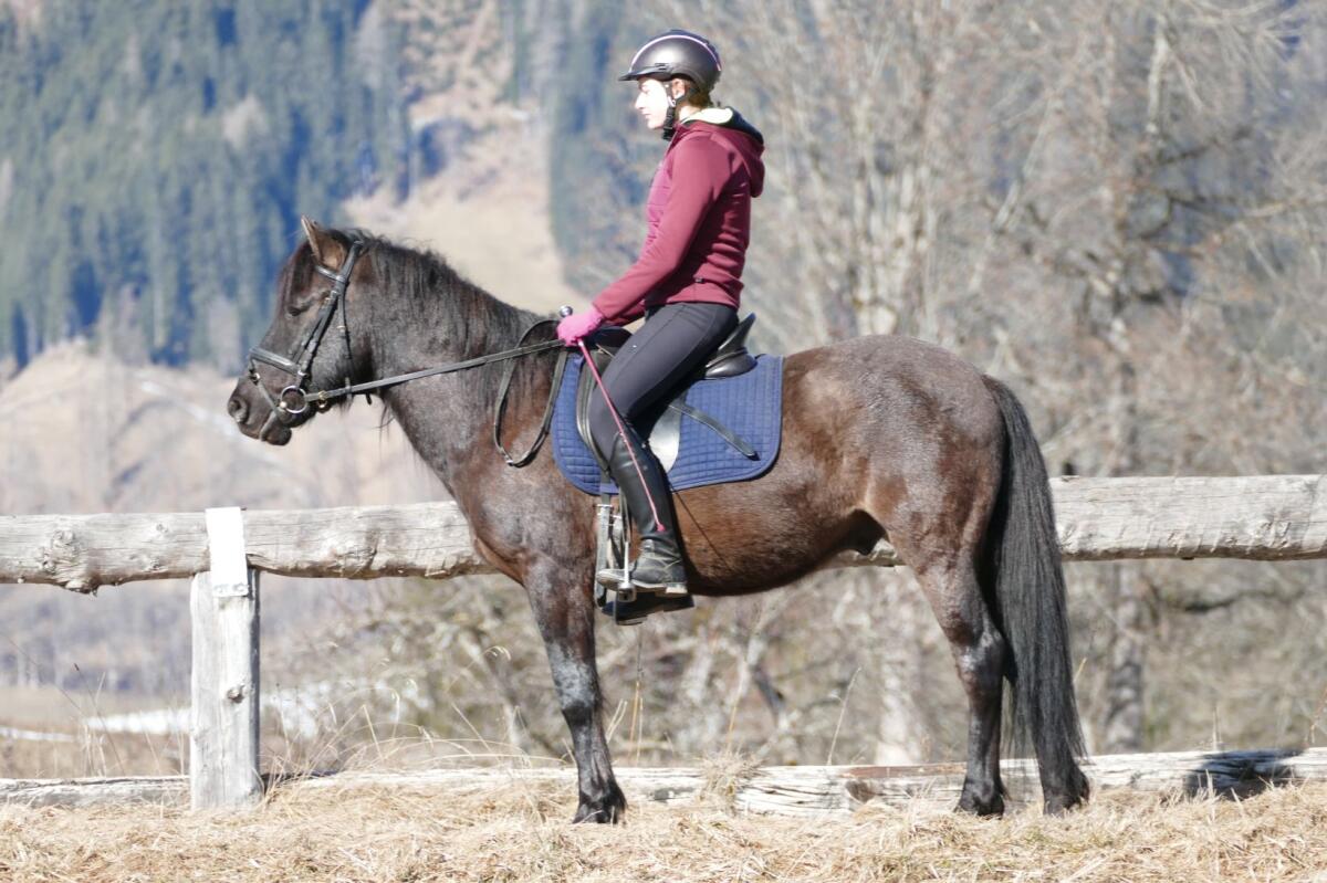 Ein Kumpel mit Gelassenheit 3