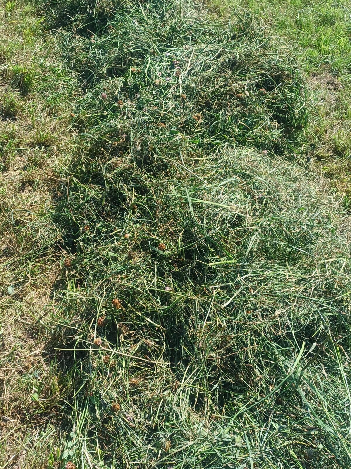 Silageballen, Kleesilage 2