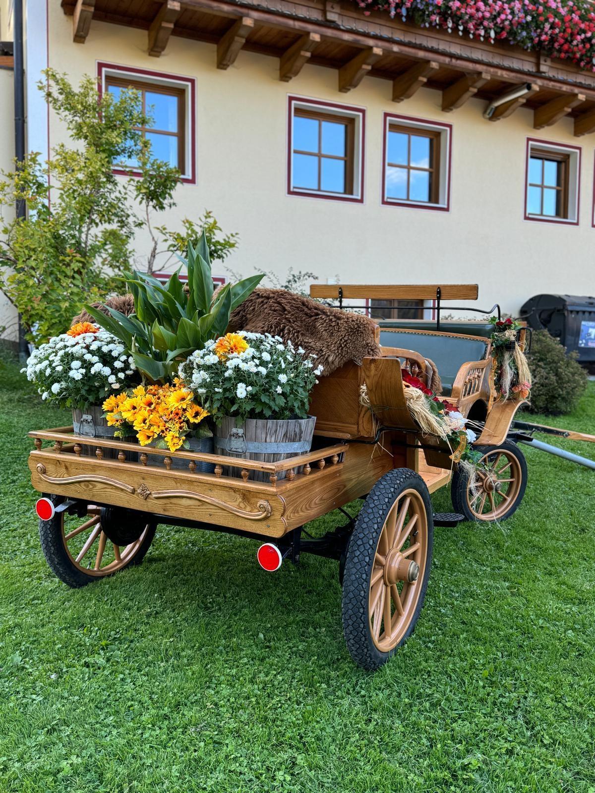 Verkaufe Pferdekutsche 3