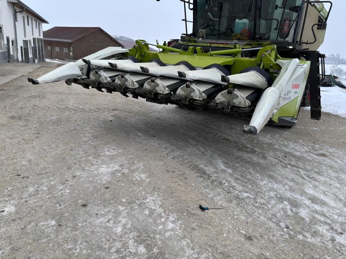 Verkaufe Maispflücker Claas Corio Conspeed 3