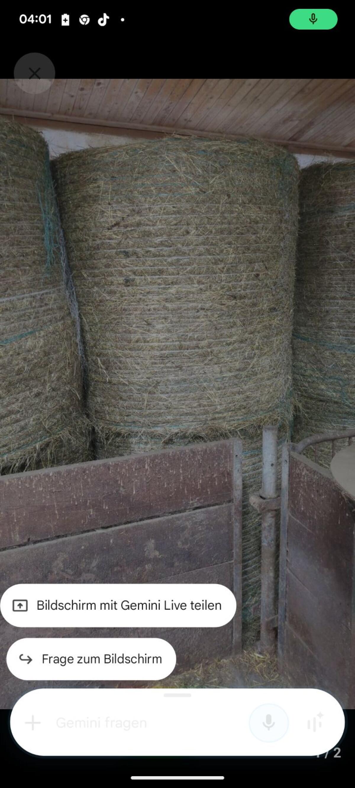 Grummet Heu 2. Schnitt 2