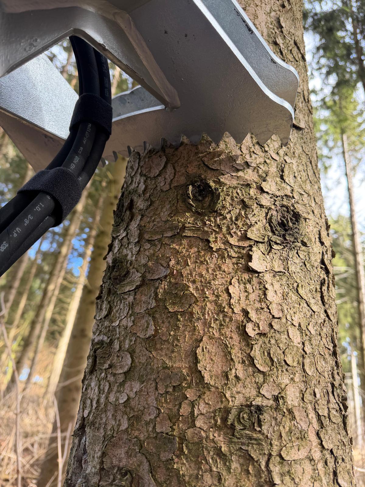 🌲Binderberger Rückezange – Neumaschine 2026 🌲 3