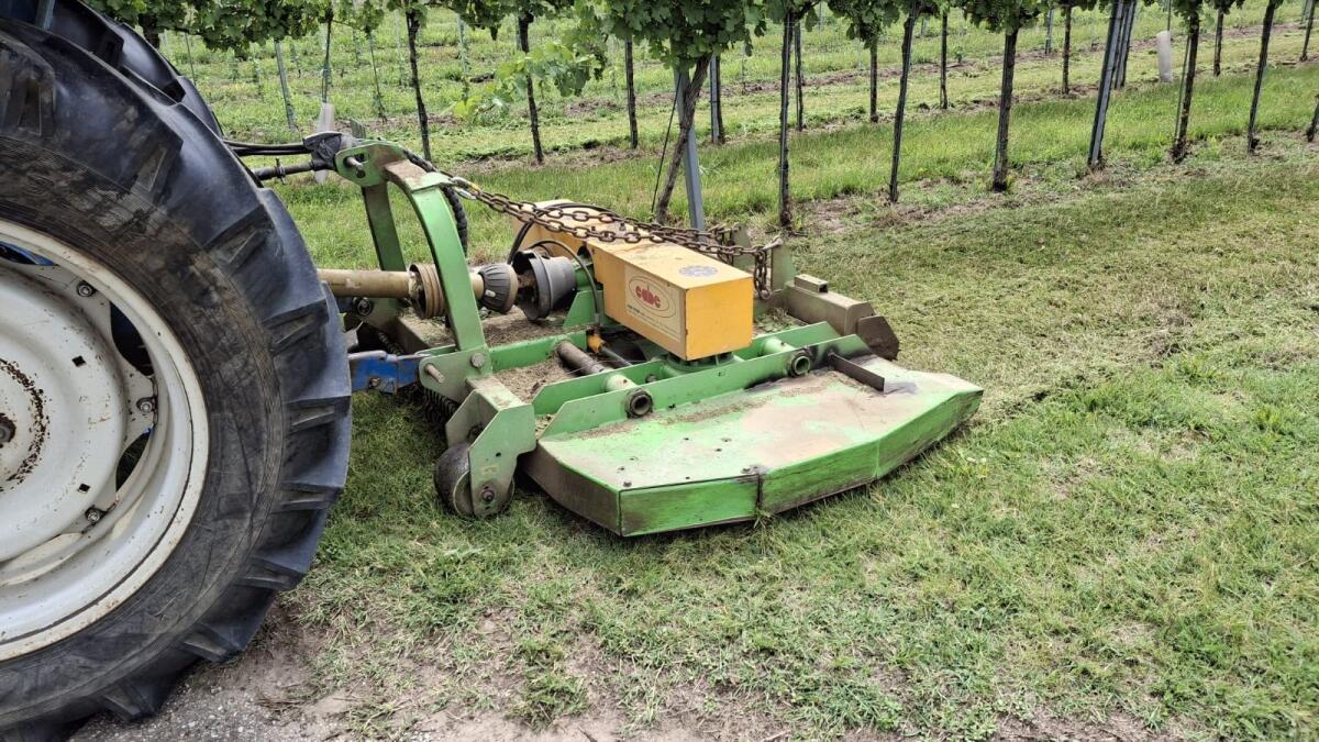 Sichelmulcher Cabe 3