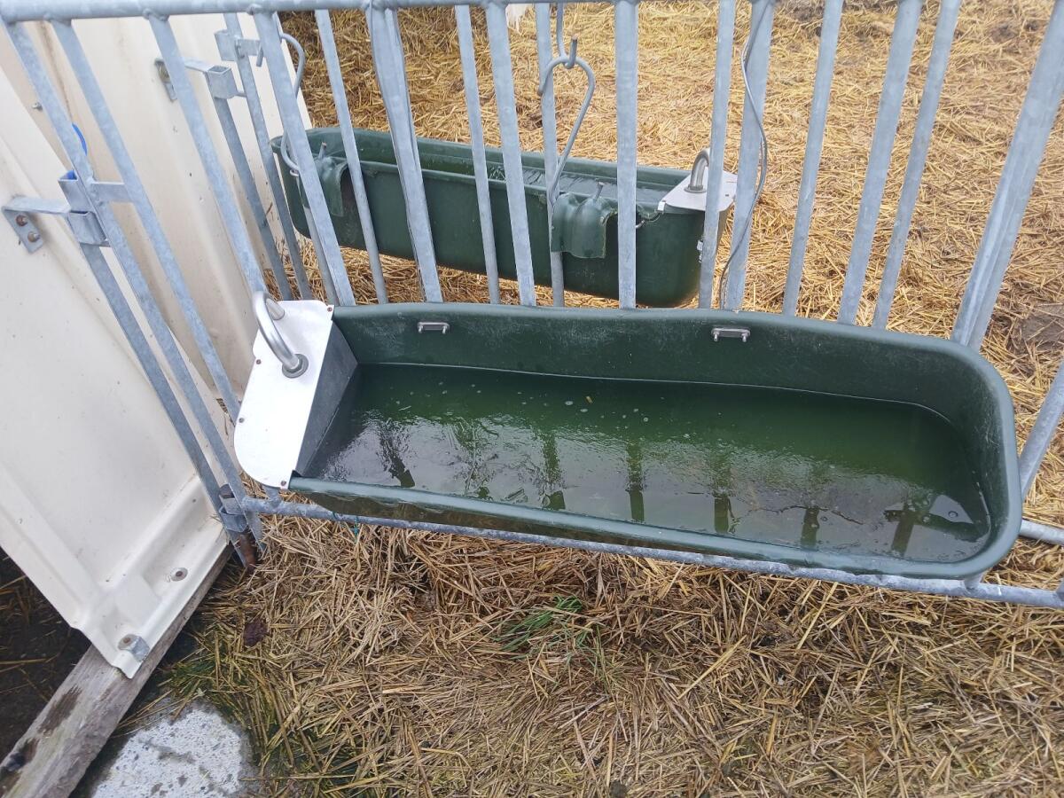 Gruppeniglu für 5 Kälber 2