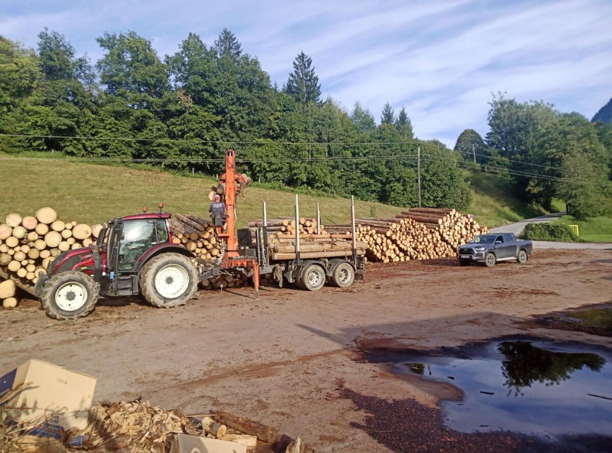 Rückewagen Stubenberger Tandemanhänger 2