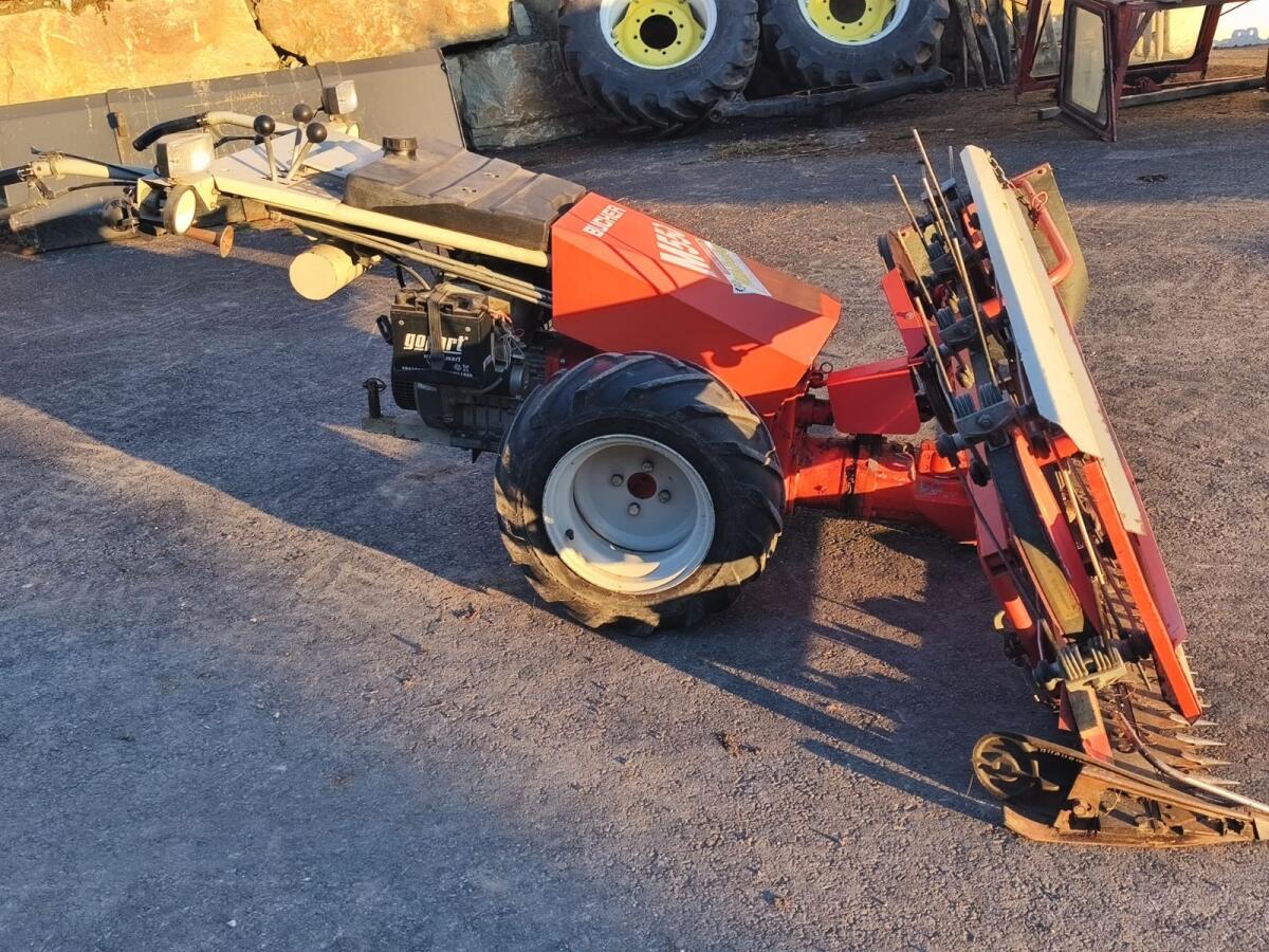 Pucher Eingrasmäher 2