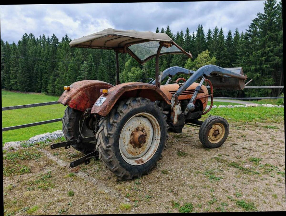 Steyr 288 mit Frontlader 2