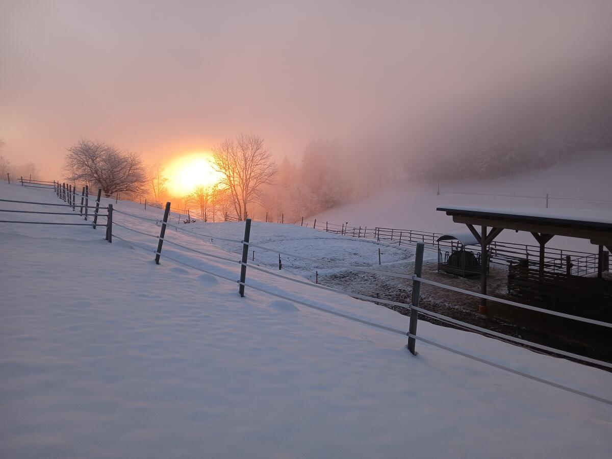 Einstellplatz Offenstall 2