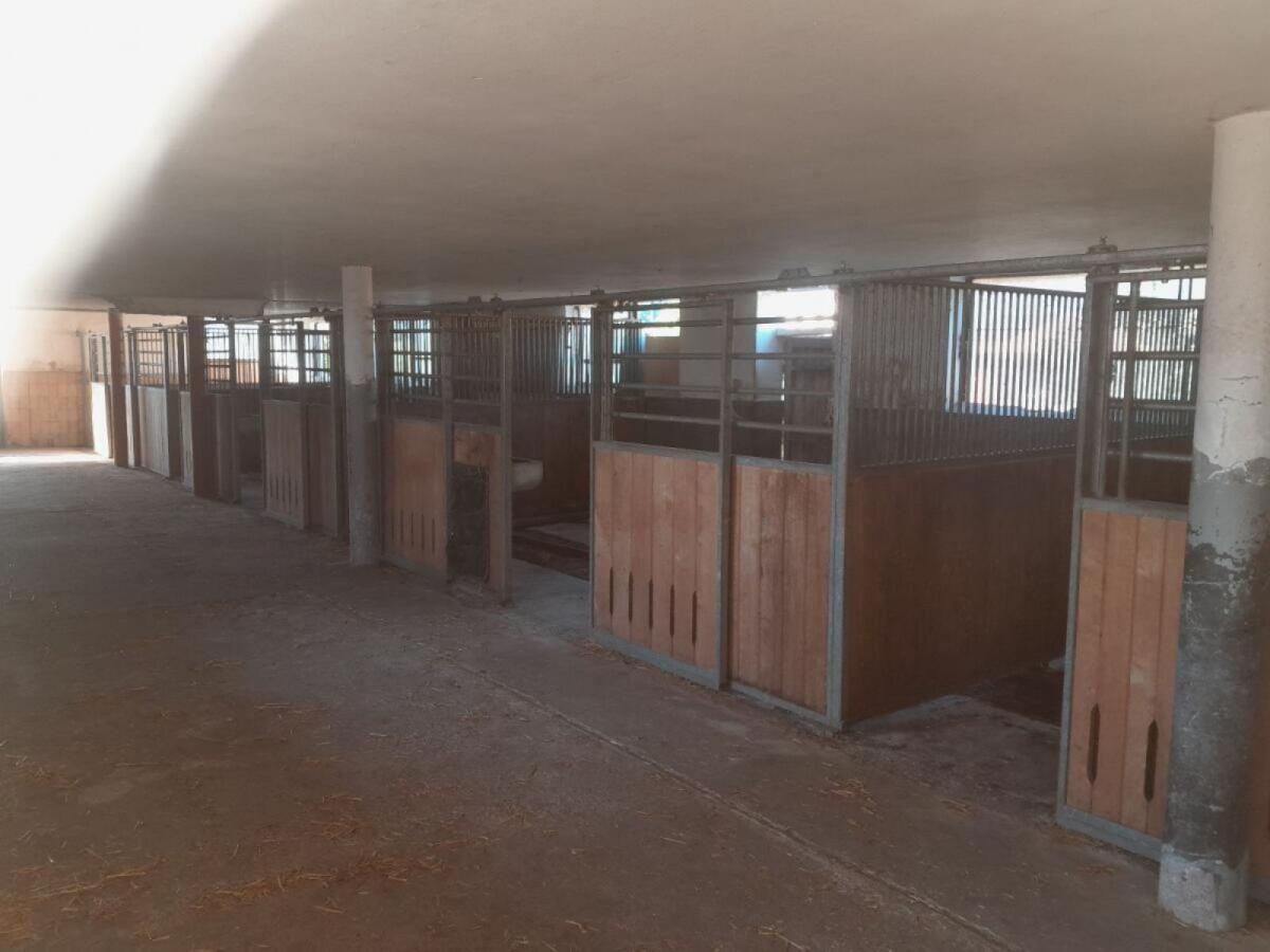 Pferdestall, Aufstallung, Pferdeboxen 3