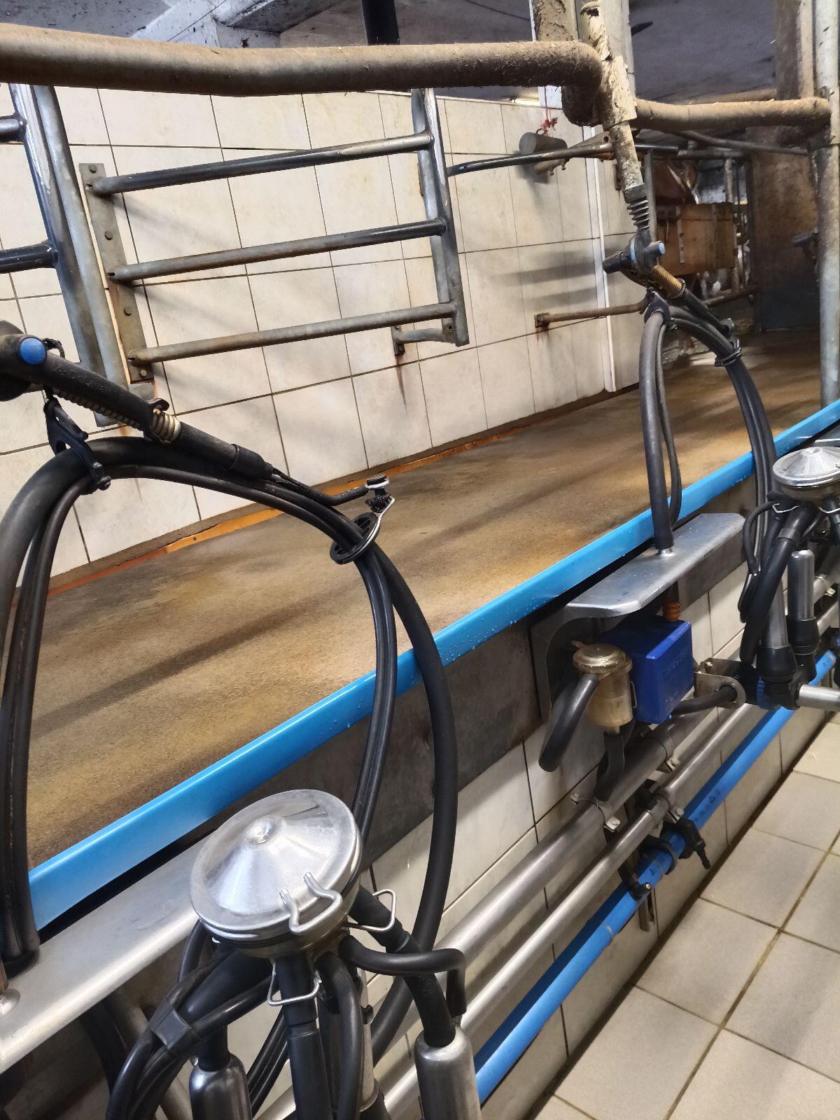 Alfa Laval Melkstand 3