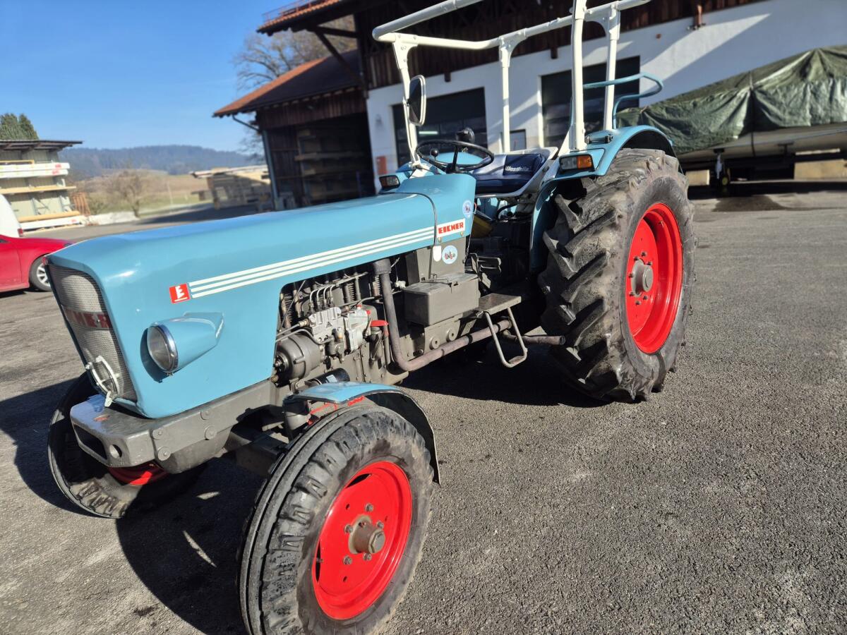 Eicher Königstiger 3