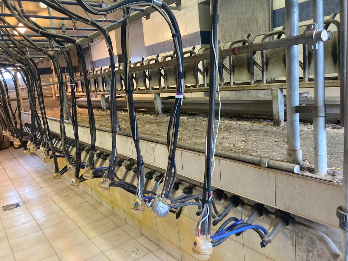 DeLaval Rohrmelkanlage für Ziegen inkl. Waschautomat und Rel 3