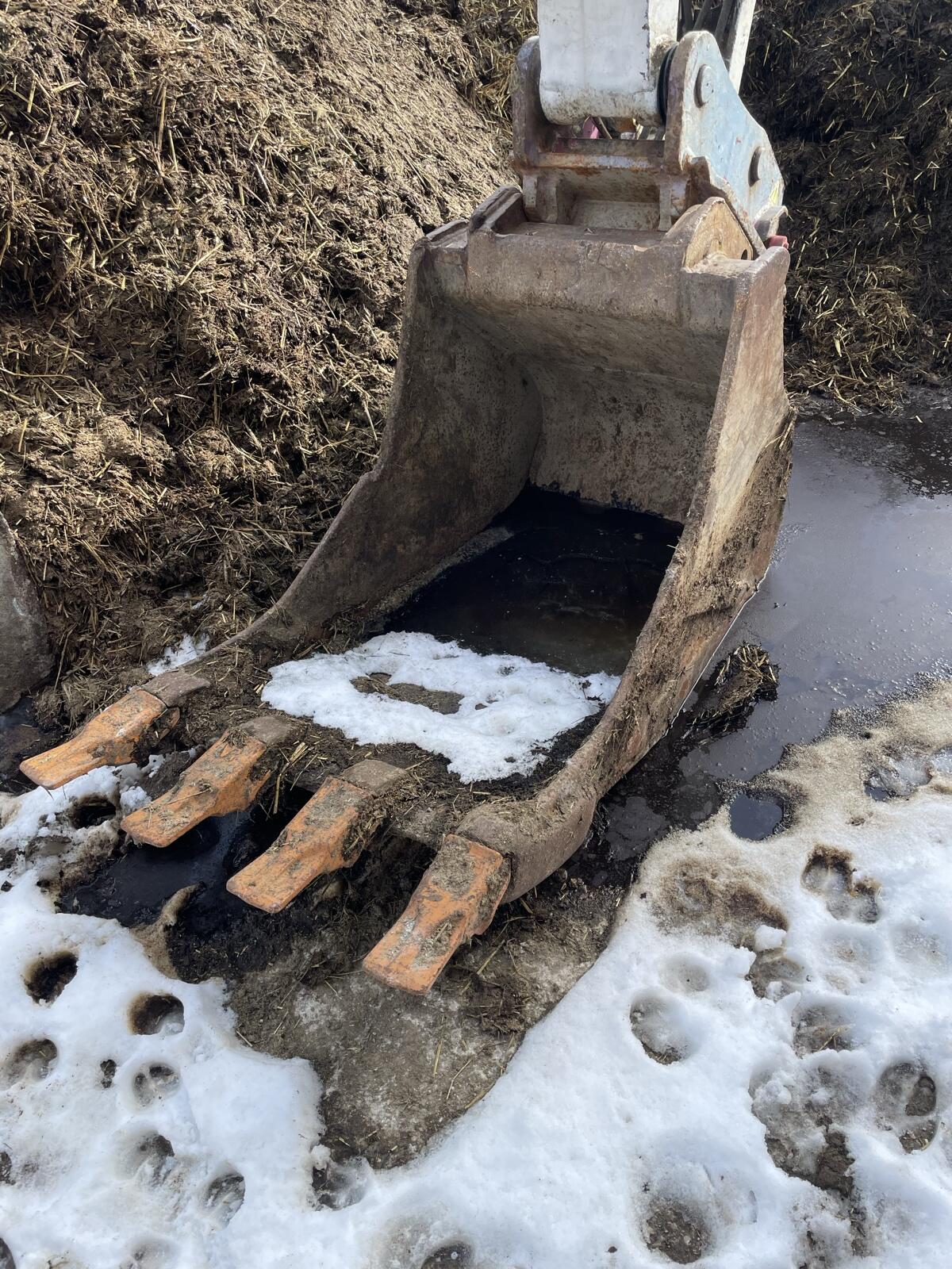 Winkelbauer XL Tieflöffel 3