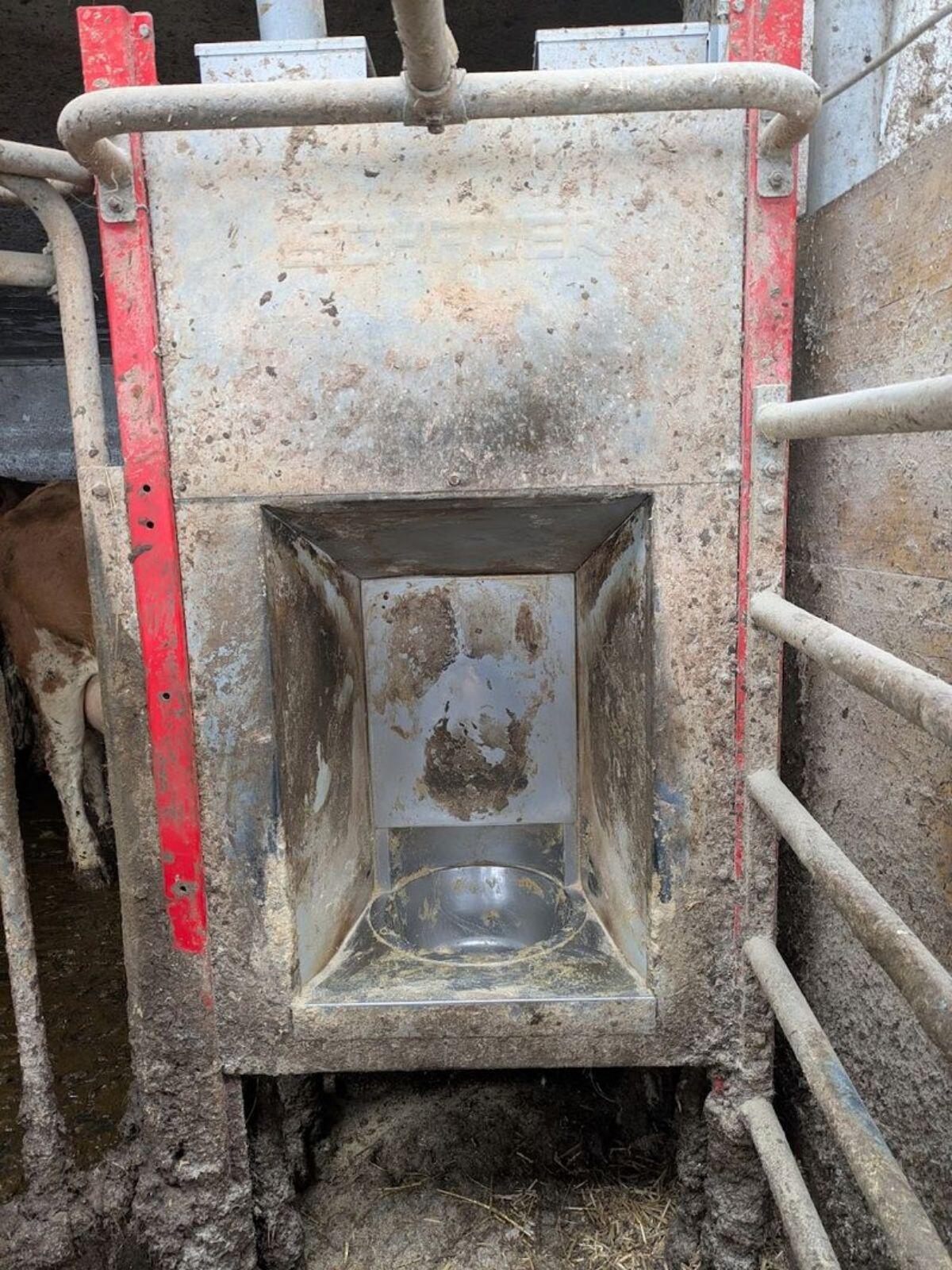 COMPIDENT COW Abruffütterung von Schauer 2