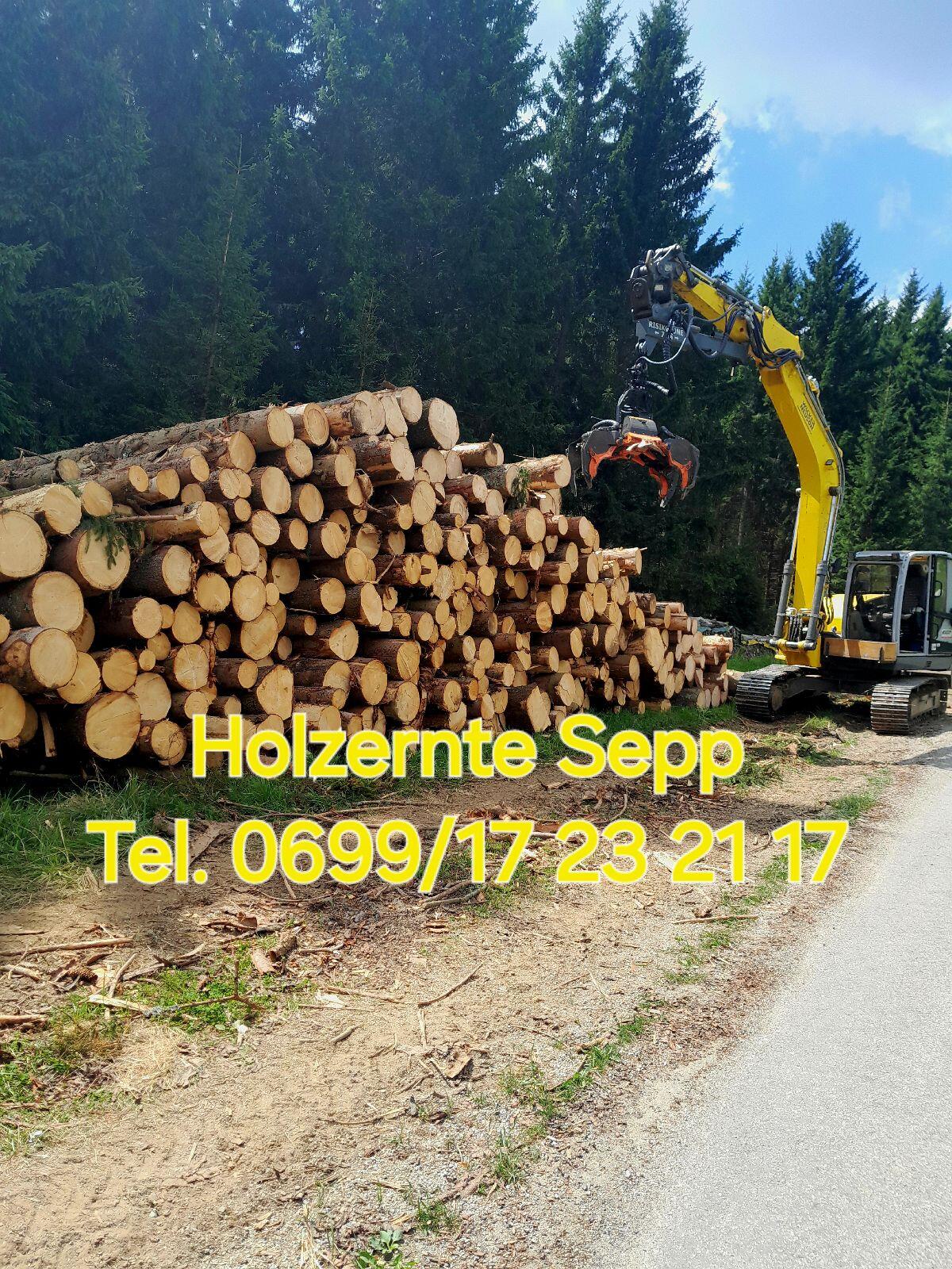Holzernte, Schlägerung, Bringung 2
