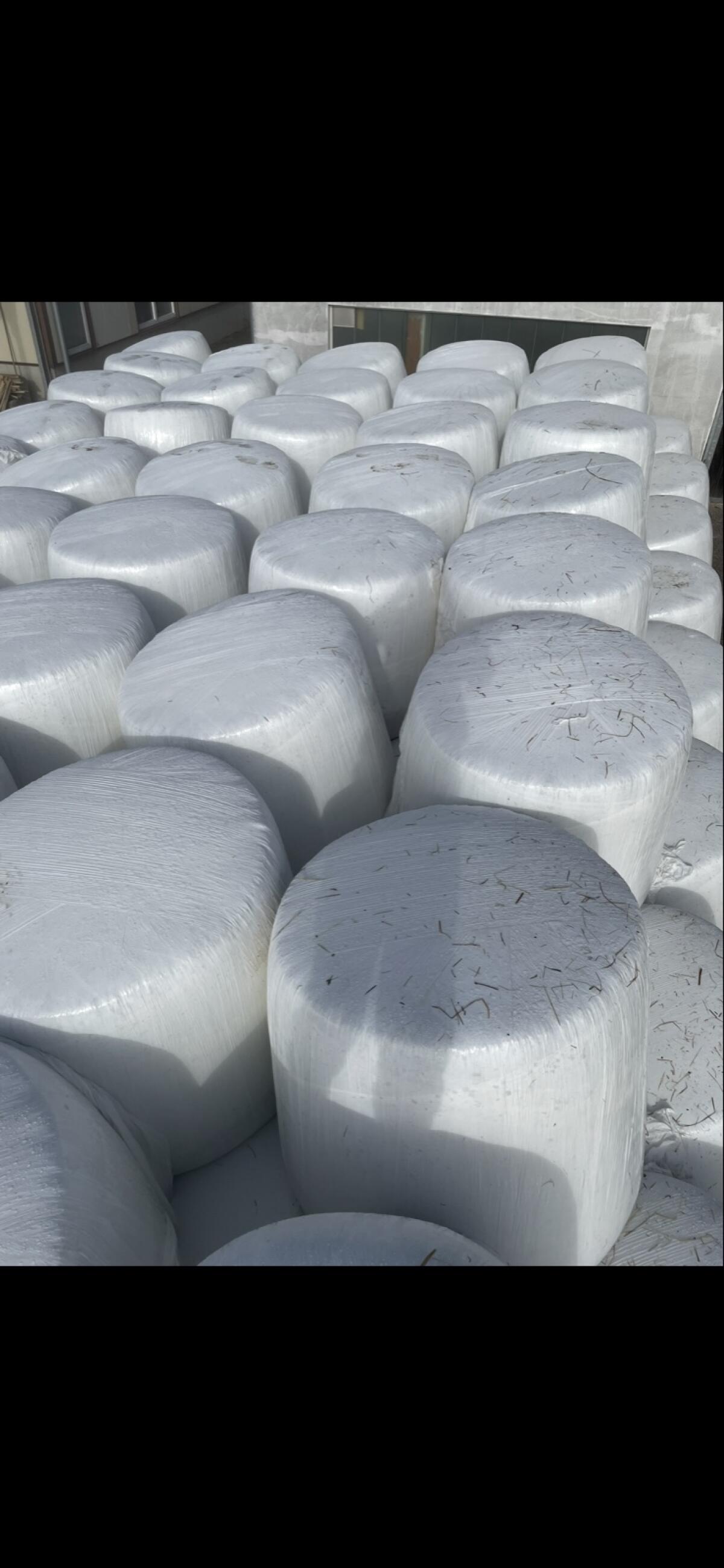 Verkaufe Bio-Maisballen 2