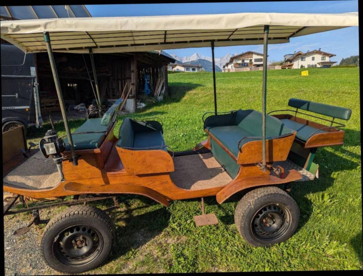 Leichte Kutsche für 10 Personen 3