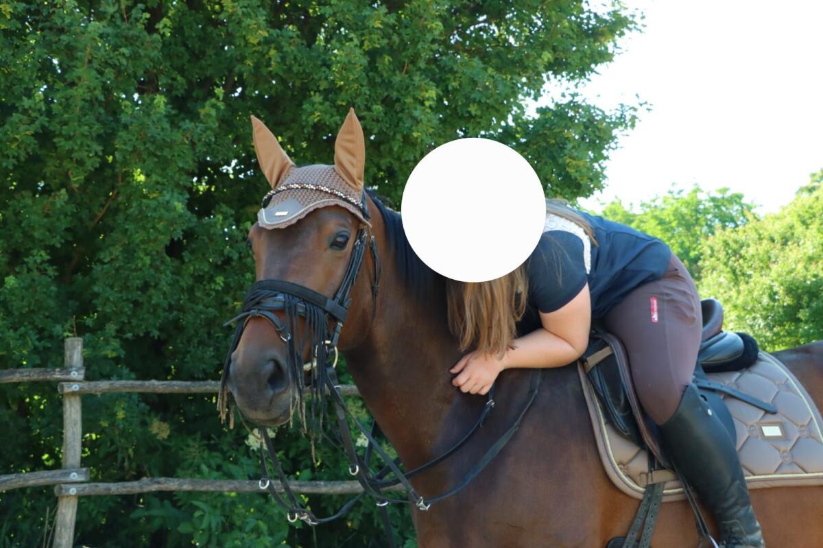 Herzenspferd sucht Lieblingsmensch 2