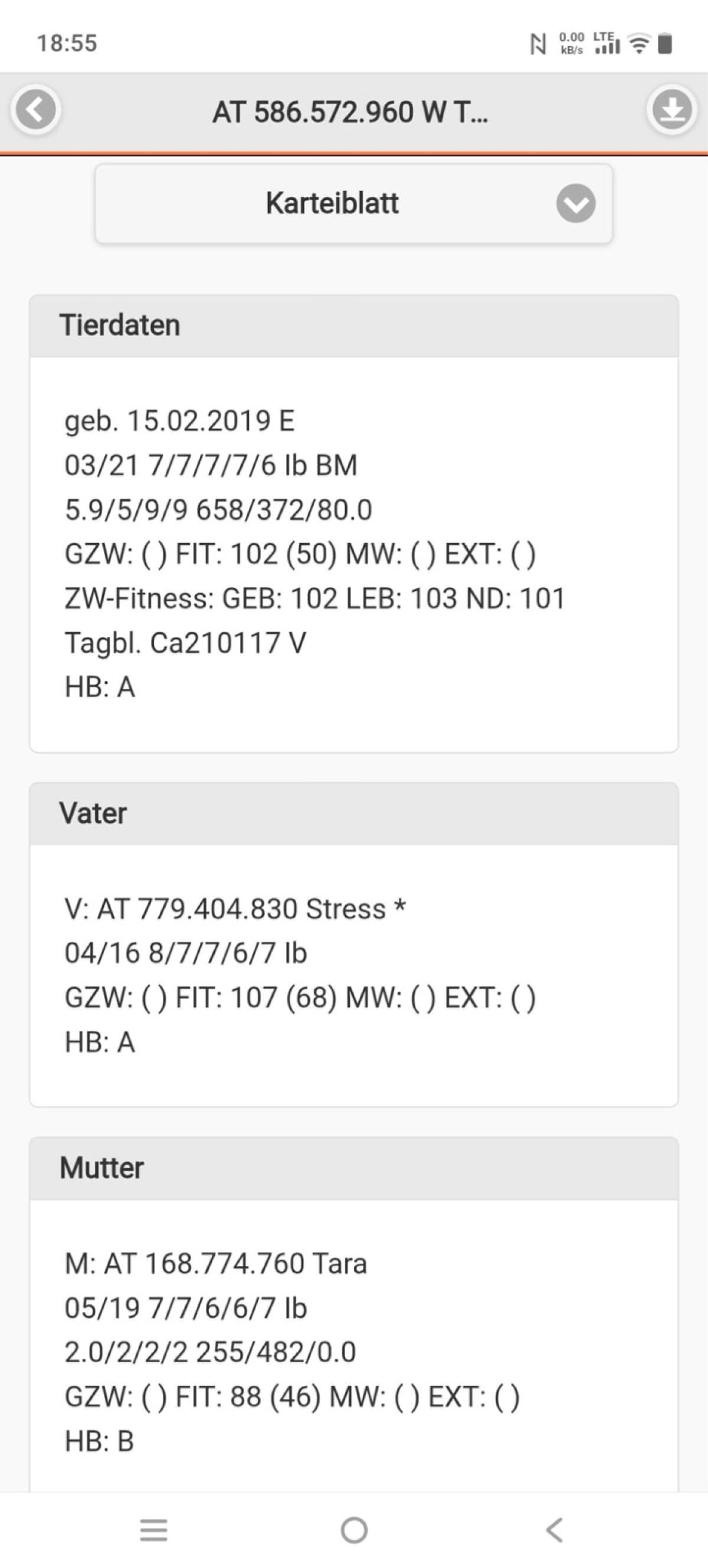 Verkaufe Tauernschecken Bockmutter 3
