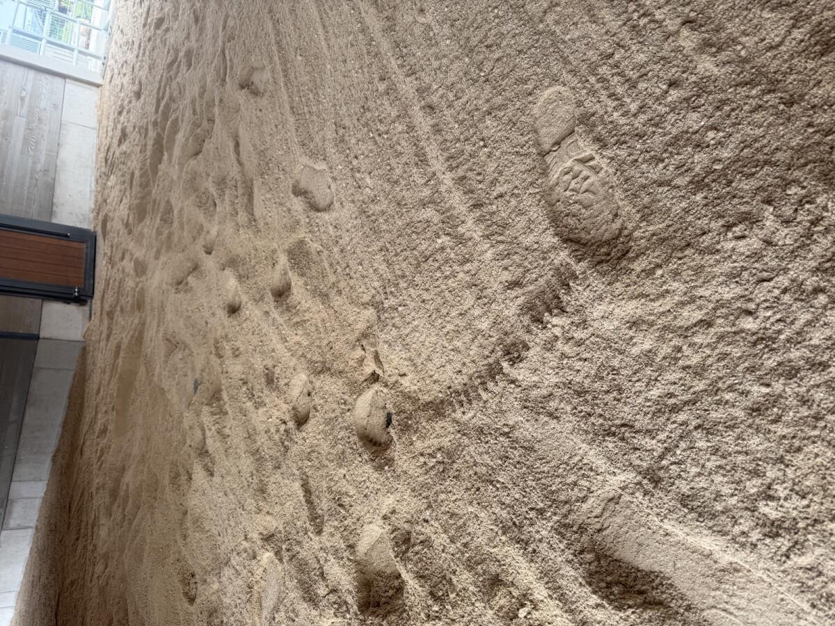 Holzpellets-Einstreu-Pferdeeinstreu 2