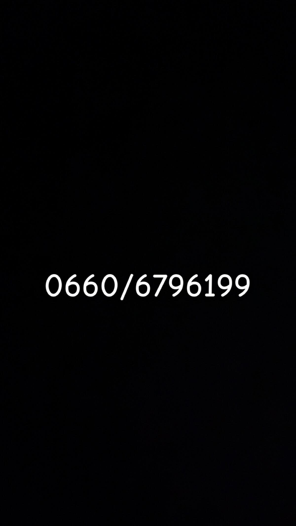 Fleckvieh Embryonen 2