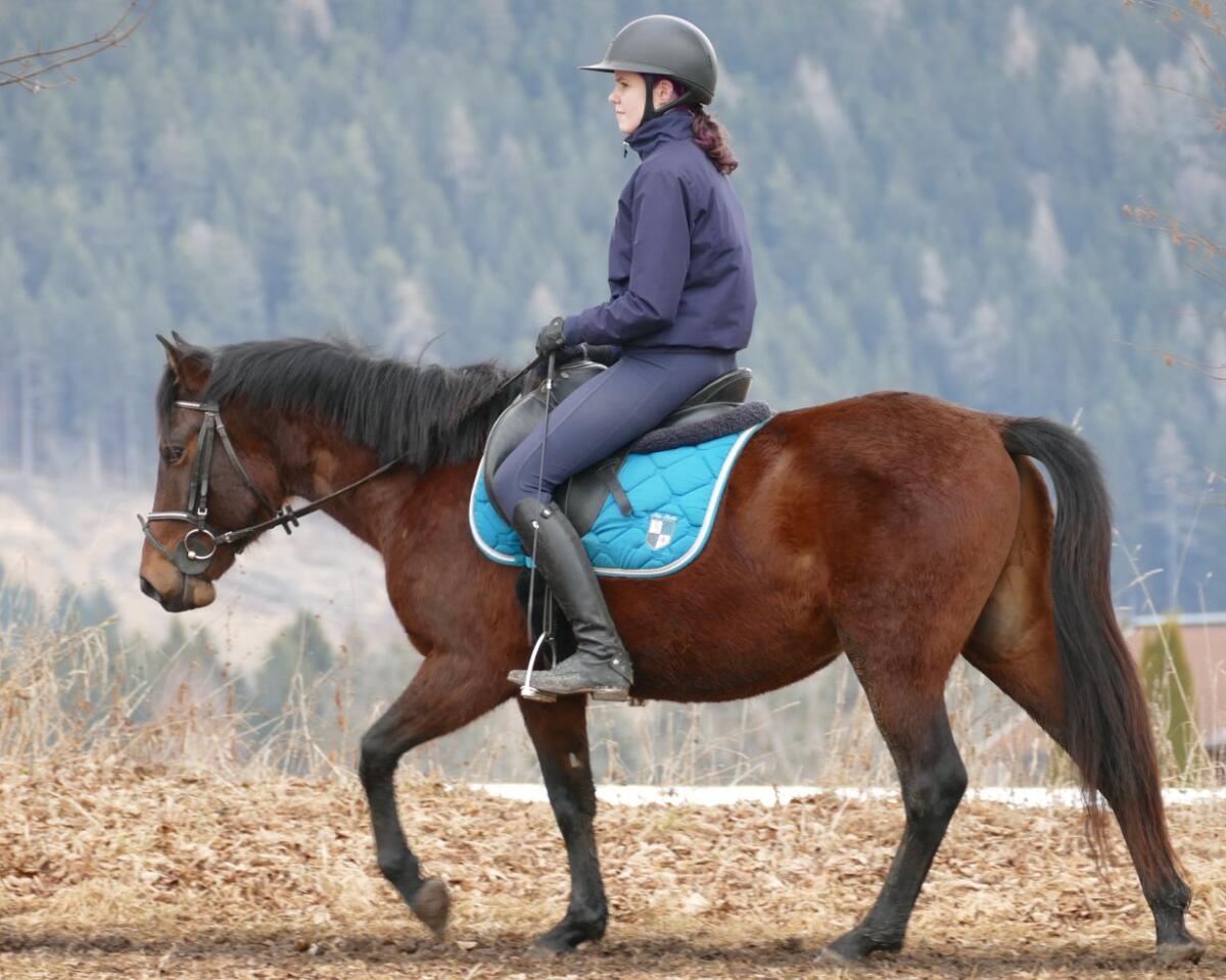 Ein Allrounder für die Zukunft 2