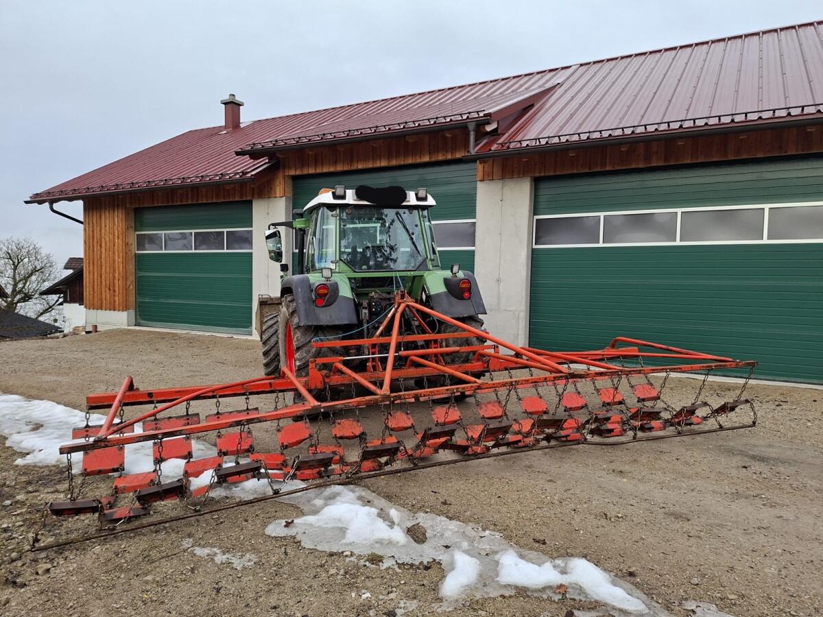 Wiesenegge Wölfleder 6m 2