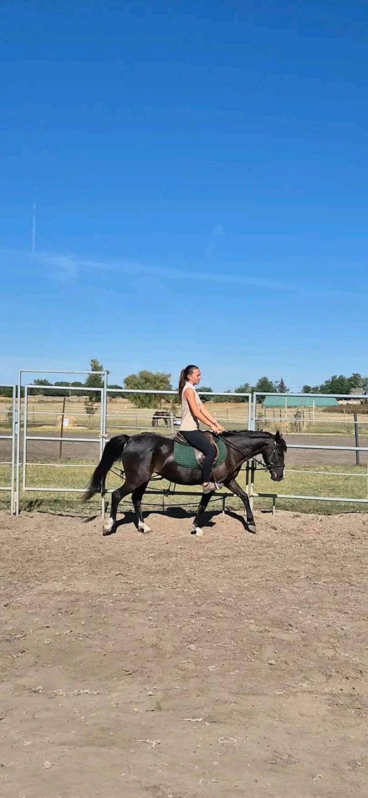 Pitypang Kinderpony 2